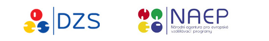 zds-naep-logo